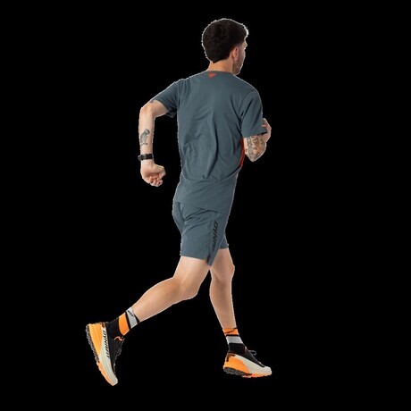 pohodnistvo-in-tek/DYNAFIT-MOSKE-KRATKE-HLACE-ALPINE-SHORTS-M-0721-1