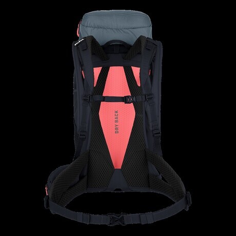 pohodnistvo-in-tek/SALEWA-NAHRBTNIK-ALP-TRAINER-353-8760-1