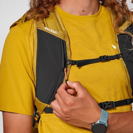 SALEWA NAHRBTNIK PEDROC CORE 22L